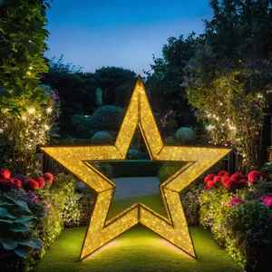 Latest Model IP65 Acrylic 3D Outdoor Decor Giant Star LED Motif Light for Hotel Shopping Mall Christmas Lights