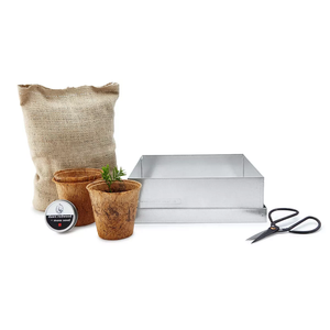 Dawn Red Wood Bonsai Forest Tree Starter Kit Original Design Bonsai Wire Set Plant Grow Pot Garden Home Bent Processing <span class=keywords><strong>Service</strong></span> - Product Image 3