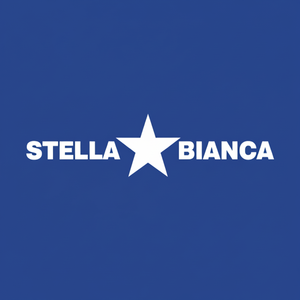 Punta con anima diamantata per gres porcellanato marmo cemento 6mm 06. C06 punta a stella bianca stelo esagonale dimensioni disponibili 5mm 8mm 10mm - Product Image 1