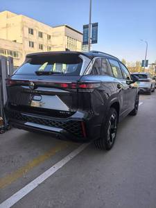 Algeria tayron L rlines 300 tsi 2025 1.5t 2.0T Turbo động cơ xăng xăng xe 5 cửa 5 chỗ ngồi Tốc độ tối đa 200 km/h vừa SUV - Product Image 3