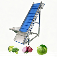 Elektrische golvende aardappelchipsnijmachine met motor 220V/380V 304 roestvrij staal voor groente- en fruitverwerking