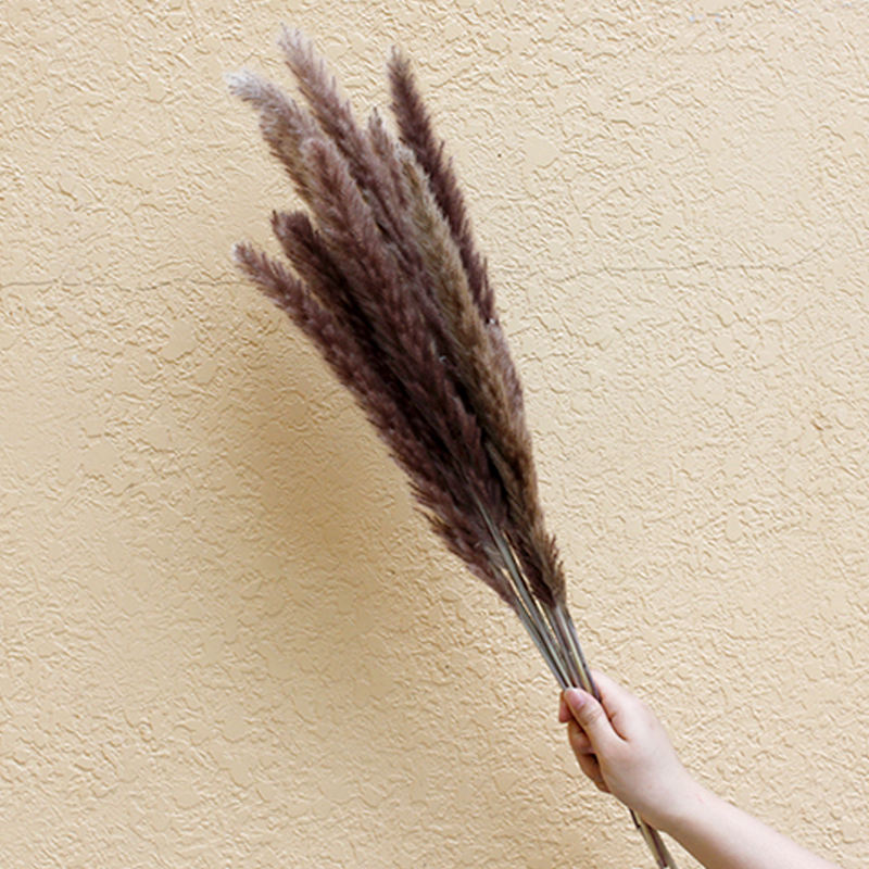 pequeñas pampas naturales