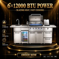 Cuisine extérieure avec barbecue à gaz en acier inoxydable, 5 brûleurs, brûleur latéral, évier, réfrigérateur, rôtissoire