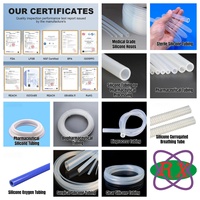 Tuyau en silicone de qualité médicale personnalisé |   ISO13485, Production Aseptique, Taille/Longueur/Connecteur Multi-Lumens Personnalisés pour Dispositifs Médicaux