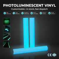 Película de Vinilo Fotoluminiscente Azul de PVC de Alta Luminosidad |   Película Imprimible que Brilla en la Oscuridad para Señales Luminosas de Seguridad Vial