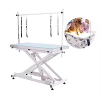 Équipement de beauté exposition canine Table de toilettage pour animaux de compagnie Table de toilettage pliable en acier inoxydable pour chien de levage électrique