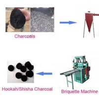 Machine industrielle automatique XDEM pour briquettes de chicha, équipement de fabrication de briquettes de coque de noix de coco, ligne de production de charbon