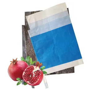 工厂专业生产芒果水果番石榴种植保护葡萄纸袋