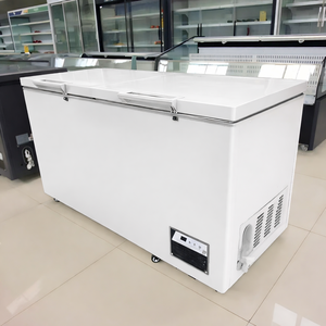 Congélateur coffre commercial <span class=keywords><strong>à</strong></span> porte unique avec couvercle supérieur pour aliments surgelés, crème glacée, viande, <span class=keywords><strong>à</strong></span> haute efficacité énergétique - Product Image 6