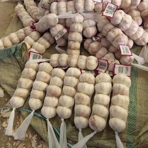 Ajo Fresco Pelado de Shandong, Sinofarm, Almacenamiento en Frío, Nueva Temporada, Venta al por Mayor de Shandong, China - Product Image 1