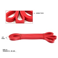 Set de 5 Bandas de Resistencia - Bandas de Asistencia para Dominadas, Ejercicio, Estiramiento, Fisioterapia y Entrenamiento Muscular