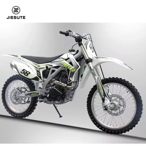 Adulto <span class=keywords><strong>250cc</strong></span> Bici Della Sporcizia Automatico Enduro Moto