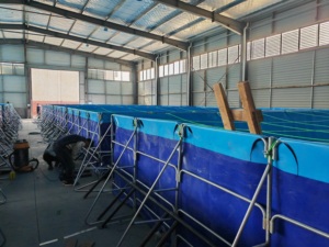 Bassin d'élevage de poissons extérieur durable de haute qualité personnalisé, bassin carré pour l'élevage de poissons, réservoir d'élevage largement utilisé pour la pêche au tilapia - Product Image 5