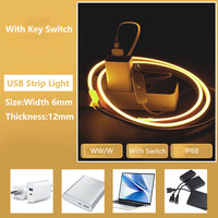 Kit de Lumières Néon LED RVB Dynamiques en Corde DC5V, Extérieur Étanche IP68, Sécable, Flexible, USB Rgbic