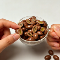 Chocolat composé aux fruits en gros directement de l'usine, raisins verts enrobés de chocolat, centre moelleux, collations au chocolat, certificat Halal