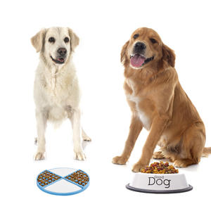 New Product Idea 2024 Eco-friendly Puzzle Dividido Non Slip 5.5in Ampla Alimentador Lento <span class=keywords><strong>Dog</strong></span> <span class=keywords><strong>Bowl</strong></span> Inserir Lamber Mat Com Ventosas - Product Image 3