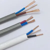 Kabel Flat Twin 2 3 Core 3*1.5mm BVVB Rvvb TPS CE PVC Tembaga Twin dan Earth Kabel Listrik 2*2.5mm dengan Earth