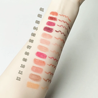 Crayon à lèvres imperméable à haute pigmentation, crayon à lèvres longue durée, pack de teintes, crayon à lèvres anti-bavures pour une définition complète des lèvres