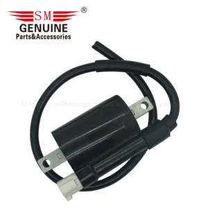 รถจักรยานยนต์สามล้ออุปกรณ์เสริม Bajaj RE205D AF111010 Nicoya แรงดันสูง IGNITION COIL ขดลวด de encendido Ignicion