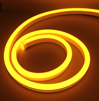 Installation facile IP67 étanche 6*12mm pur silicium rvb néon bande flexible SMD3535 LED pour la décoration de fête d'anniversaire
