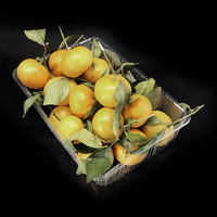 Barquette d'emballage alimentaire jetable en plastique PET pour cerises et raisins, idéale pour les supermarchés et la vente de fruits