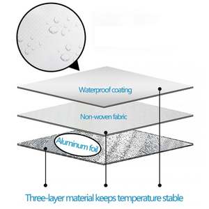 Custom Logo Keep Cold Warm Lunch <b>Cooler</b> <b>Bags</b> Non Woven Thermal <b>Insulated</b> for Food Coffee Drink Delivery <b>Bag</b> - Product Image 3