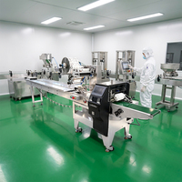 SZ100 Industrielle Lebensmittelmaschine Automatische Professionelle Snack-Horizontale Lochstanzmaschine für Rückseitig Versiegelte Plastiktüten