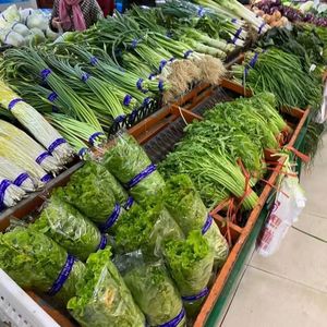 <strong>Wholesale</strong> Factory Price Supermarket Fruit &amp; Vegetable <strong>Packing</strong> <strong>Tape</strong> High-Quality Binding <strong>Tape</strong> for Supermarket Packaging - Product Image 6