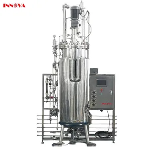 Innova Complete sanitary stainless steel design Beer Tank 800L Wine Stainless Steel Fermenter Bioreactor