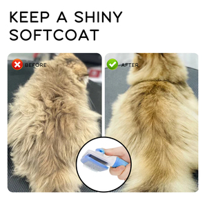 Cepillo autolimpiante para el aseo de gatos de interior, fácil de limpiar, para eliminar el pelo suelto, para gatos de pelo corto y largo, gatitos y perros que se deslanan, material PP - Product Image 6