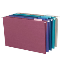 Paquete de 25 carpetas de archivos colgantes, tamaño carta A4, colores surtidos, archivos de suspensión personalizados, suministros de oficina