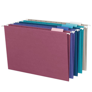 25 Pack Box <strong>Hanging</strong> <strong>File</strong> <strong>Folders</strong> A4 Letter Size Assorted Colors Customized Suspension <strong>Files</strong> Office Supplies - Product Image 2