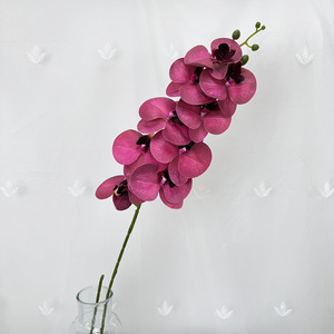 <span class=keywords><strong>Orchidée</strong></span> Artificielle Vintage à 9 Têtes de 101cm, Fleurs de Simulation de Phalaenopsis à Touche Réelle <span class=keywords><strong>pour</strong></span> la Maison en Plein Air, Saint Valentin, Halloween - Product Image 4
