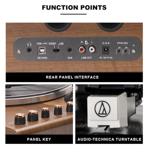 Audmic Sản phẩm mới đ<span class=keywords><strong>a</strong></span> phương tiện-Chức năng DLB-001 sang trọng loa chất lượng cao Máy nghe nhạc ghi âm với độc lập cánh tay Vinyl Máy nghe nhạc - Product Image 3