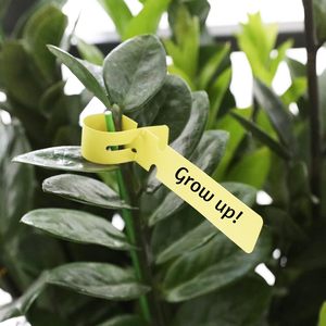 Nhà máy nhãn thẻ cây thẻ bọc xung quanh thẻ Cây kỷ lục cây Thời gian Tên vườn cây giống đánh dấu cho giường hoa chậu cây - Product Image 4