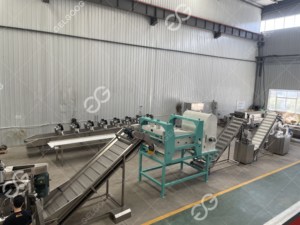 Machine commerciale automatique de séchage à Air chaud, équipement de déshydratation pour Condiments et ail - Product Image 6