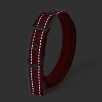 Collier réfléchissant pour chien, rembourré en mousse, avec boucle en métal et anneau en D, en nylon réglable pour chiens et chats de petite et grande taille