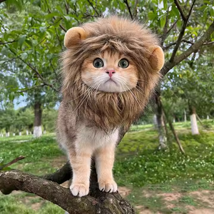 Perruque de Lion en Fausse Fourrure Réglable pour Chien et Chat, Confortable et Fantaisie, Idéale pour les Fêtes d'Hiver - Product Image 2