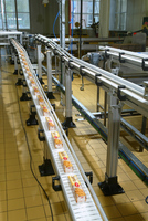 Hygiënisch Gemakkelijk Schoon Flexibel Transportsysteem Voor Drankzuivelindustrie