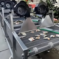 Industriële machine voor het reinigen, drogen en verwerken van verse groenten en fruit, inclusief koudelucht droger.