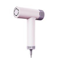 Sèche-cheveux domestique à double entrée transfrontalière Ion négatif sans brosse Mini ventilateur en plastique à grande vitesse Source d'alimentation électrique