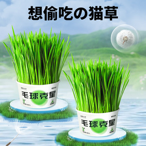 แคทกราสคัพ แฮร์บอลเอลิมิเตอร์ ไร้ดิน ทรงกลม MC002 รสผัก ขนมสำหรับสัตว์เลี้ยง - Product Image 3