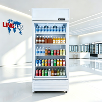 Enfriador de Botellas de Cerveza Vertical Comercial de Gran Capacidad, Enfriador de Aire, Control de Temperatura Mecánico, Estantes Ajustables LED, Acero Inoxidable