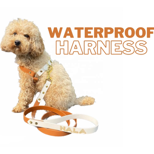 Harnais pour chien en PVC grainé effet cuir <span class=keywords><strong>de</strong></span> qualité supérieure, anti-transpiration, imperméable, nettoyage rapide, anneau en D robuste, OEM/ODM - Product Image 2