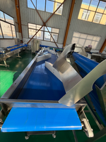 Avocado reinigings- en luchtdroogsorteermachine