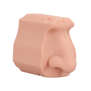Medical Education Manikin PVC <strong>Nasal</strong> Cavity Training Model for Medical School Dental Teaching <strong>Skeleton</strong> Model for Medical Science - Product Image 4