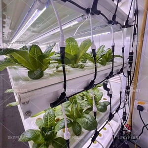 Contenedor Hidropónico Inteligente Skyplant para Cultivo Vertical de Vegetales de Hoja Verde, Sistema de Cultivo en Contenedor de Envío de 40 pies - Product Image 6