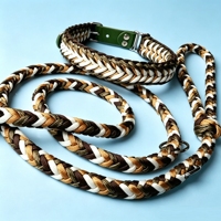 Ensemble collier et laisse pour chien et chat en nylon tissé à la main, 550 lb, collier tactique réglable et kit de laisse pour la promenade en plein air, l'entraînement quotidien