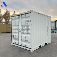 Conteneur de transport de marchandises sèches mini portable de 10 pieds certifié CSC, norme ISO, marque ACE, à vendre