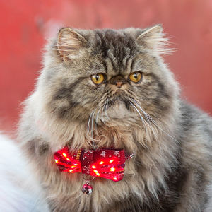 Kerah kucing Natal dengan dasi kupu-kupu menyala merah hijau kerah kucing untuk anjing kecil anak perempuan anak laki-laki dengan liontin lucu untuk berdandan hewan peliharaan - Product Image 3